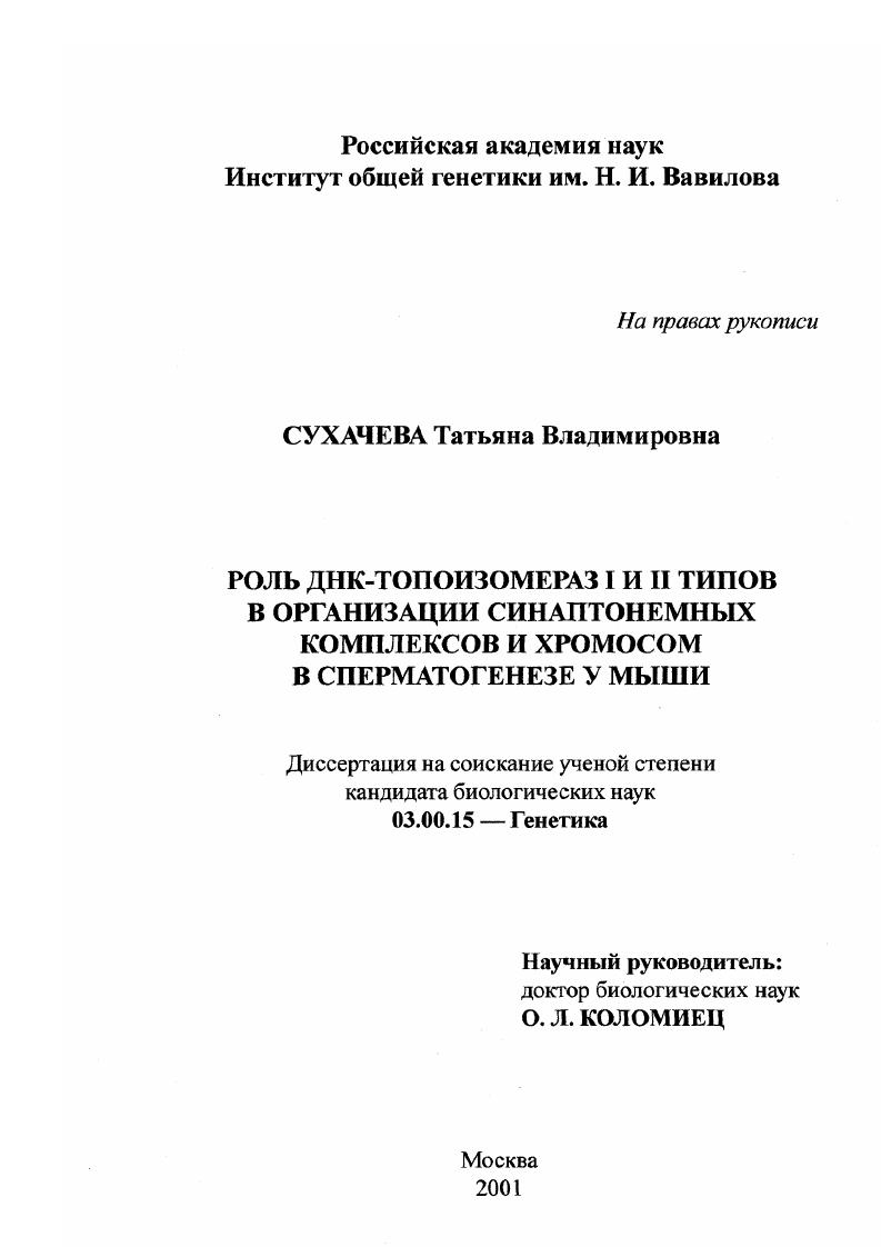 Роль ДНК-топоизомераз I и II типов в организации синаптонемных комплексов и хромосом в сперматогенезе у мыши