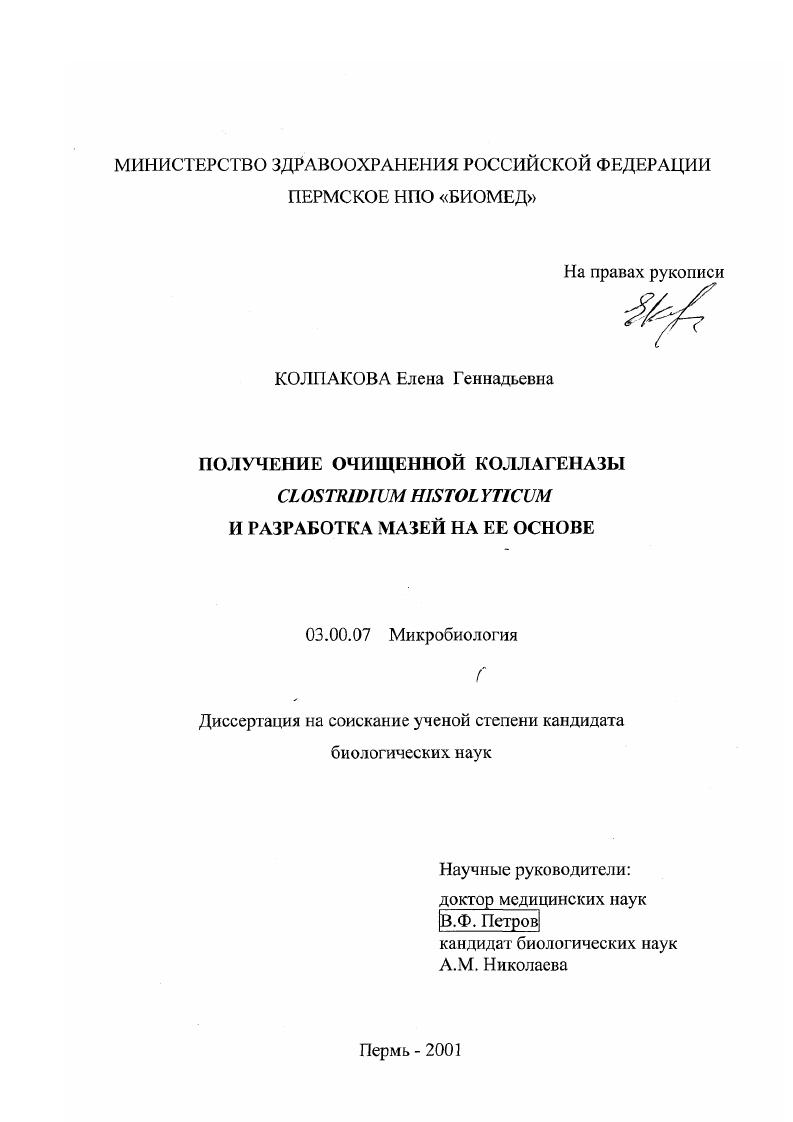 Получение очищенной коллагеназы CLOSTRIDIUM HISTOLYTICUM и разработка мазей на ее основе