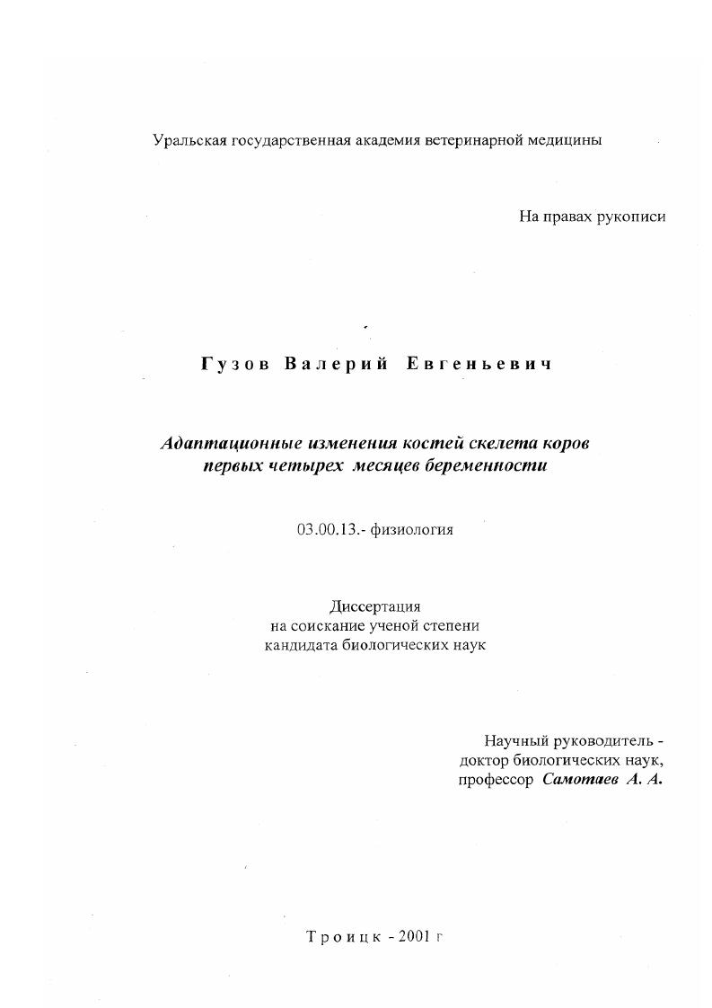 Адаптационные изменения костей скелета коров первых четырех месяцев беременности
