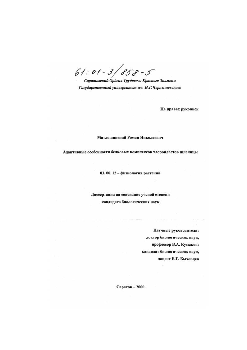 скачать диссертацию Адаптивные особенности белковых комплексов хлоропластов пшеницы Адаптивные особенности белковых комплексов хлоропластов пшеницы