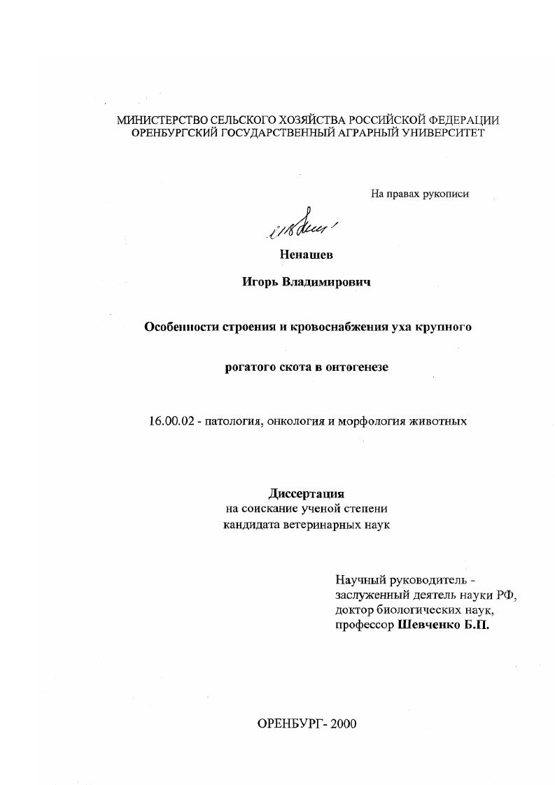 Особенности строения и кровоснабжения уха крупного рогатого скота в онтогенезе
