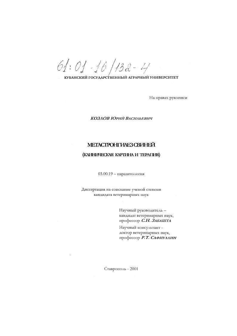 Метастронгилез свиней : Клиническая картина и терапия