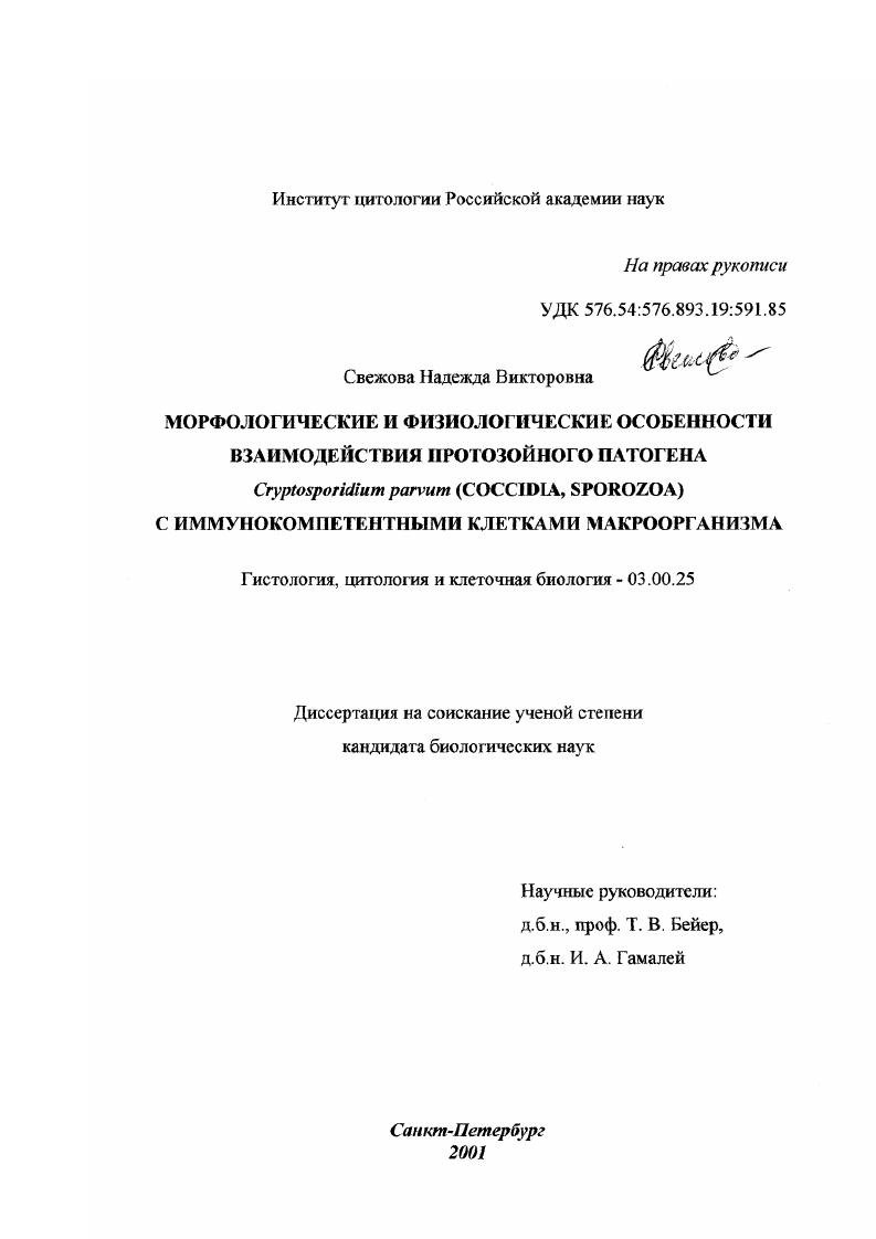Морфологические и физиологические особенности взаимодействия протозойного патогена Cryptosporidium parvum (Coccidia, Sporozoa) с иммунокомпетентными клетками макроорганизма