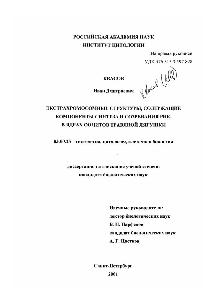 Экстрахромосомные структуры, содержащие компоненты синтеза и созревания РНК в ядрах ооцитов травяной лягушки