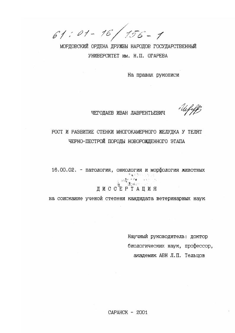 Рост и развитие стенки многокамерного желудка у телят черно-пестрой породы новорожденного этапа