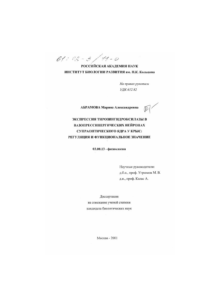Экспрессия тирозингидроксилазы в вазопрессинергических нейронах супраоптического ядра у крыс : Регуляция и функциональное значение