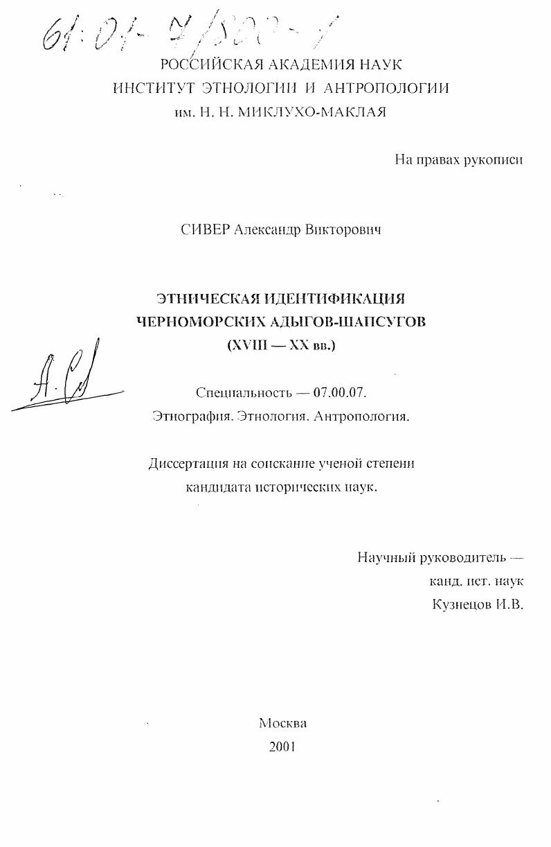 Этническая идентификация черноморских адыгов-шапсугов, XVIII-XX вв.