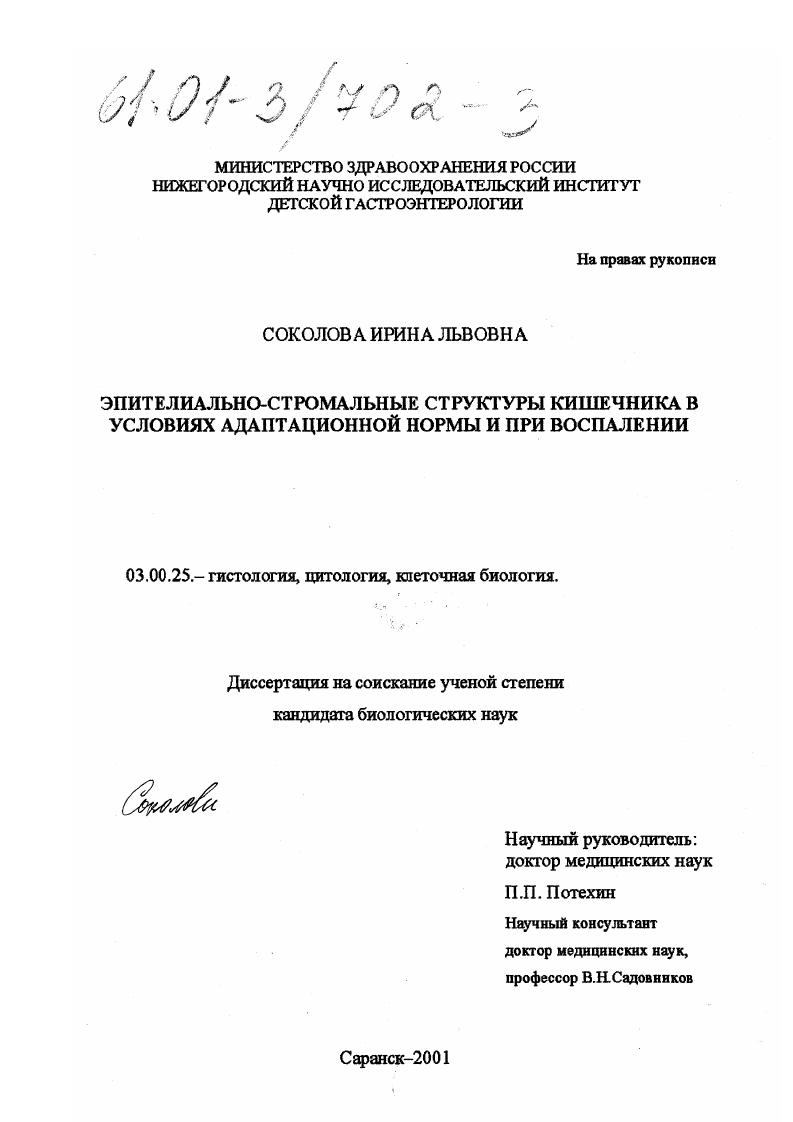 Эпителиально-стромальные структуры кишечника в условиях адаптационной нормы и при воспалении