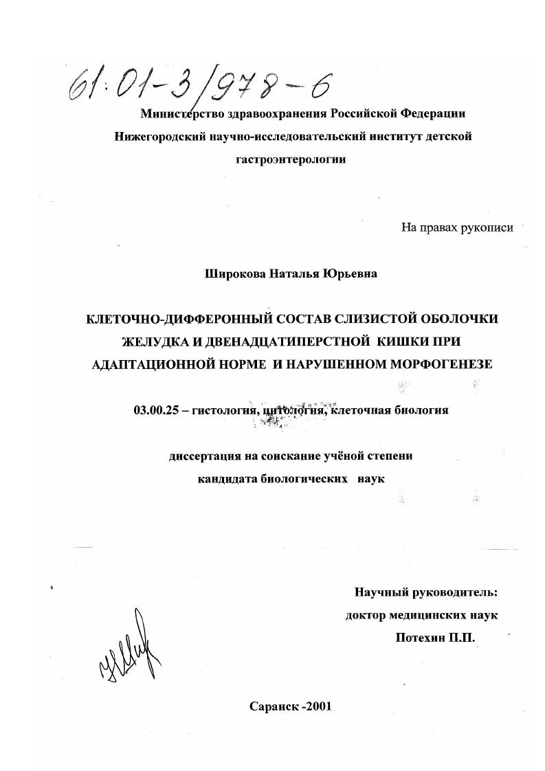 Клеточно-дифферонный состав слизистой оболочки желудка и двенадцатиперстной кишки при адаптационной норме и нарушенном морфогенезе