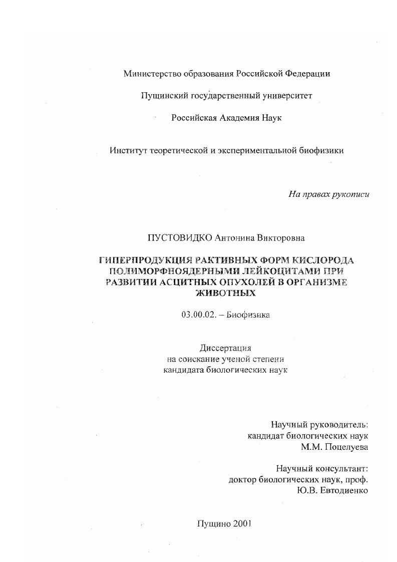скачать диссертацию Гиперпродукция реактивных форм кислорода полиморфноядерными лейкоцитами при развитии асцитных опухолей в организме животных Гиперпродукция реактивных форм кислорода полиморфноядерными лейкоцитами при развитии асцитных опухолей в организме животных