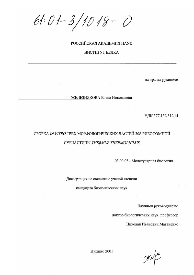 Сборка in vitro трех морфологических частей 30S рибосомной субчастицы Thermus thermophilus