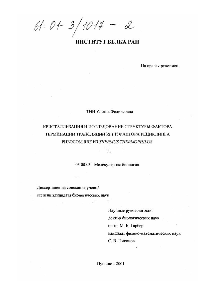 Кристаллизация и исследование структуры фактора терминации трансляции RF1 и фактора рециклинга рибосом RRF из Thermus thermophilus