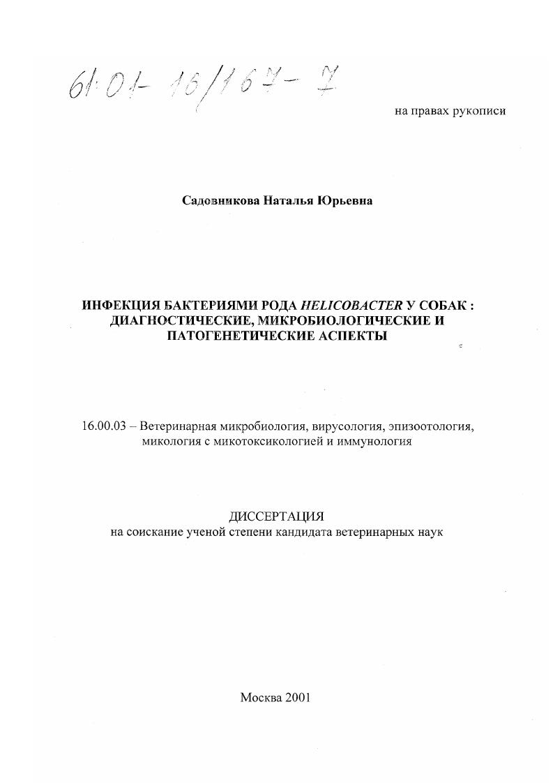 Инфекция бактериями рода Helicobacter у собак: диагностические, микробиологические и патогенетические аспекты