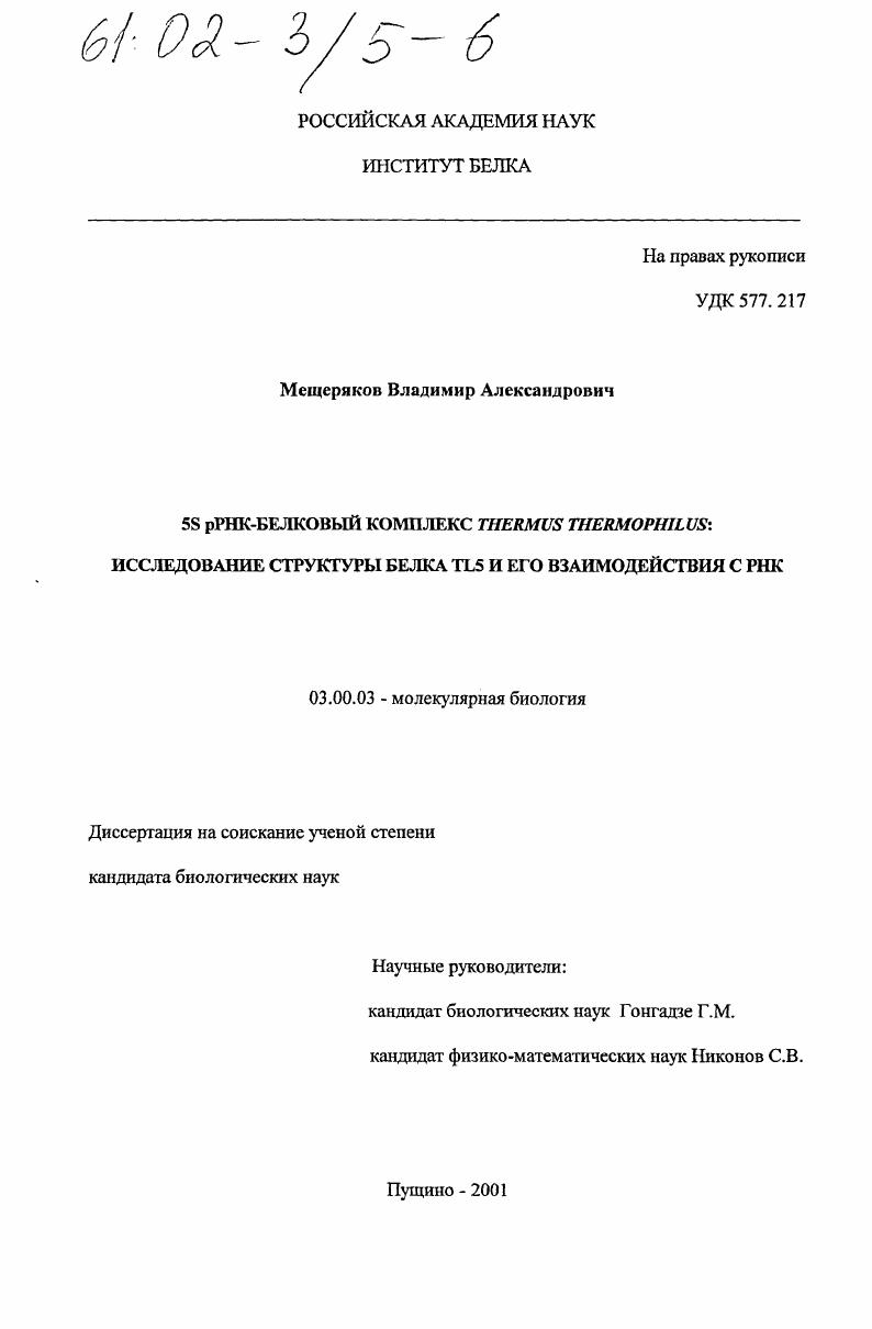 5S рРНК-белковый комплекс Thermus thermophilus: исследование структуры белка TL5 и его взаимодействия с РНК