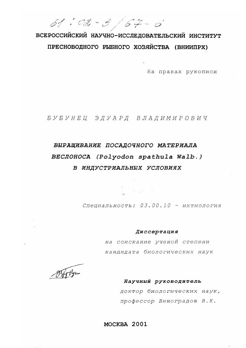скачать диссертацию Выращивание посадочного материала веслоноса (Polyodon spathula Walb. ) в индустриальных условиях Выращивание посадочного материала веслоноса (Polyodon spathula Walb. ) в индустриальных условиях