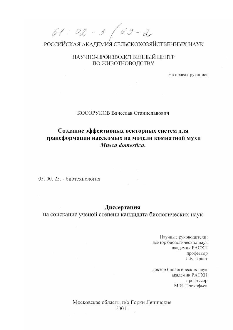скачать диссертацию Создание эффективных векторных систем для трансформации насекомых на модели комнатной мухи Musca domestica Создание эффективных векторных систем для трансформации насекомых на модели комнатной мухи Musca domestica