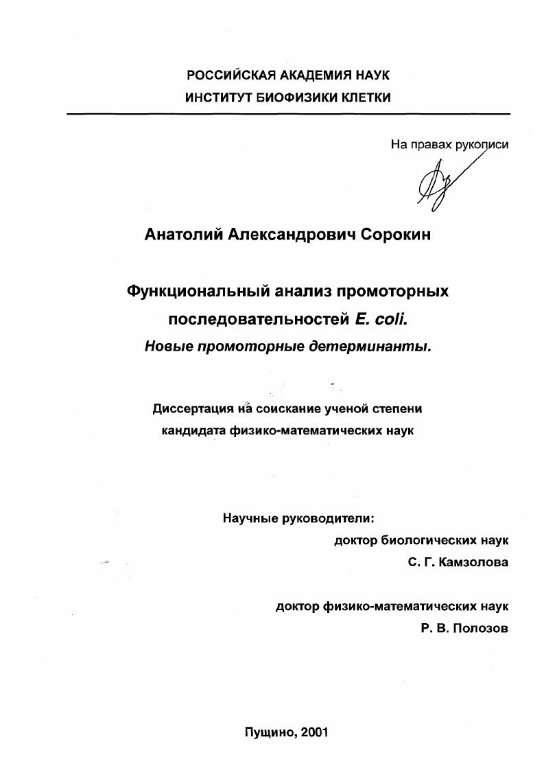 Функциональный анализ промоторных последовательностей Е. coli : Новые промоторные детерминанты