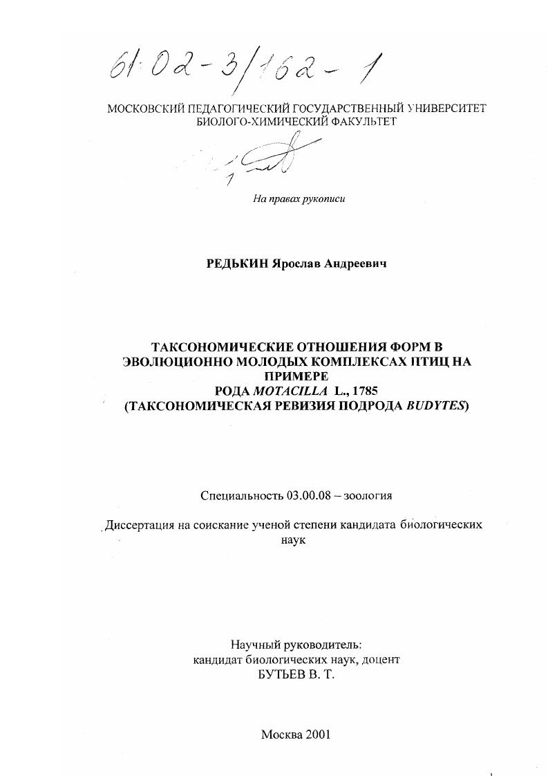 Таксономические отношения форм в эволюционно молодых комплексах птиц на примере рода Motacilla L., 1785 (таксономическая ревизия подрода Budytes)