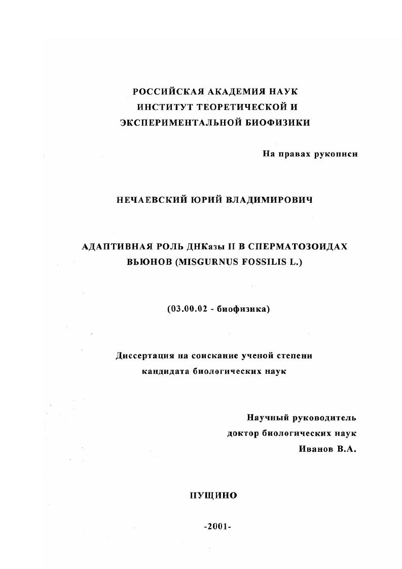 Адаптивная роль ДНКазы II в сперматозоидах вьюнов (Misgurnus fossilis L.)