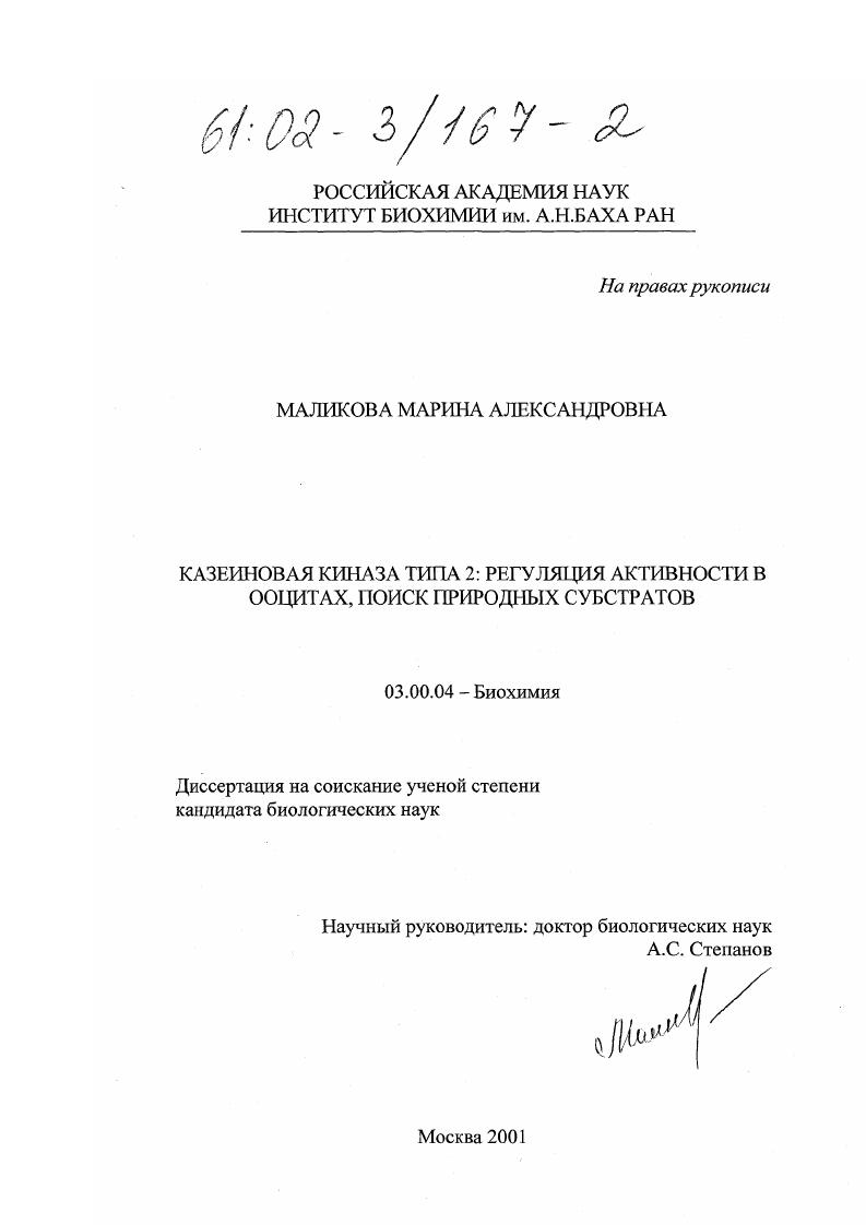 Казеиновая киназа типа 2: регуляция активности в ооцитах, поиск природных субстратов