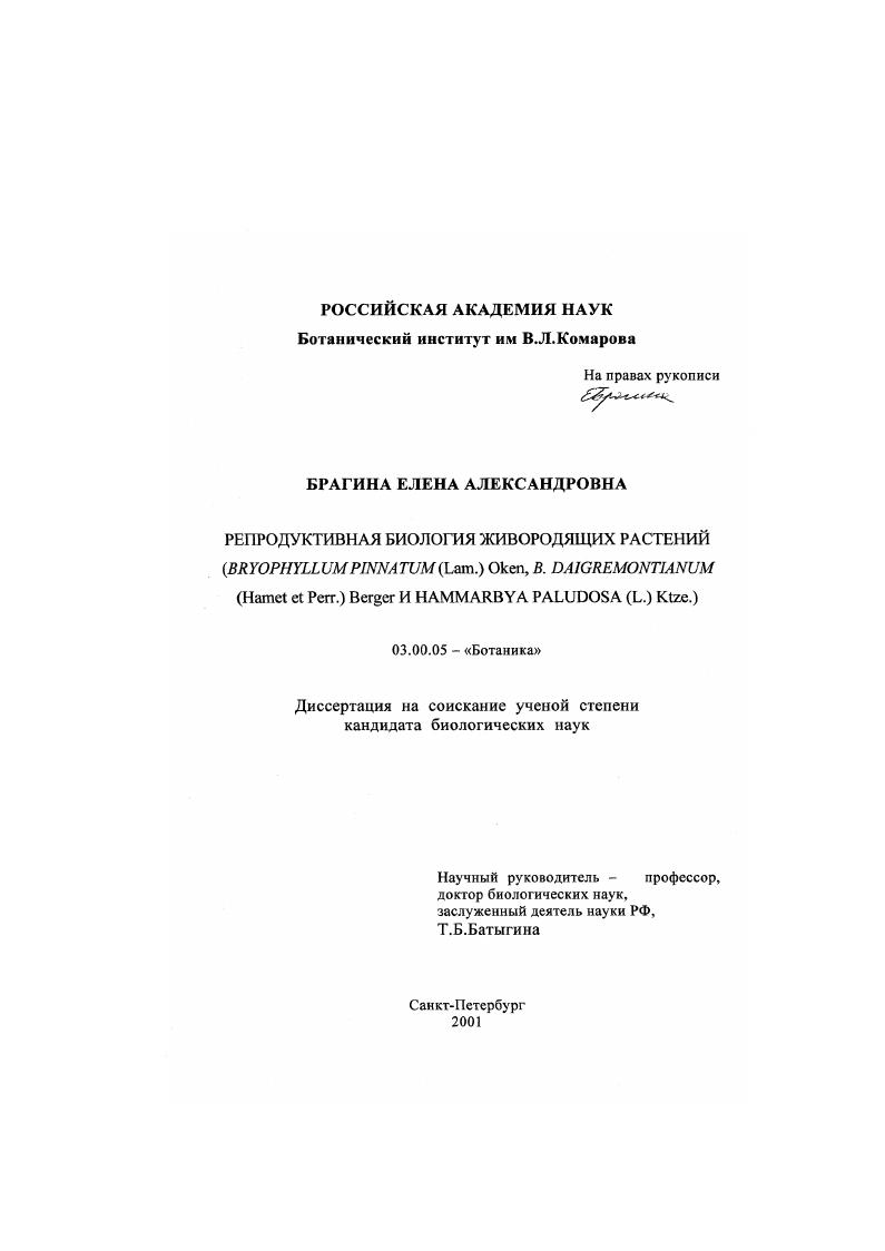 Репродуктивная биология живородящих растений : Bryophyllum pinnatum (Lam. ) Oken, B. daigremontianum (Hamet et Perr. ) Berger и Hammarbya paludosa (L. ) Ktze