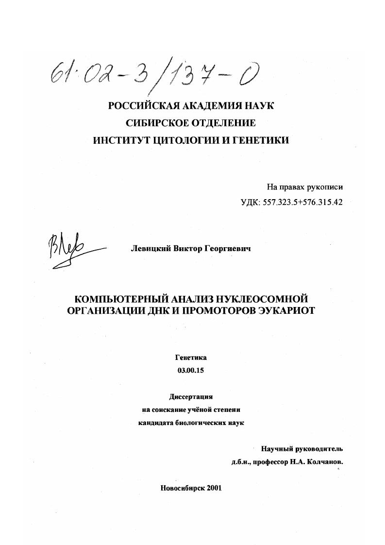 Компьютерный анализ нуклеосомной организации ДНК и промоторов эукариот