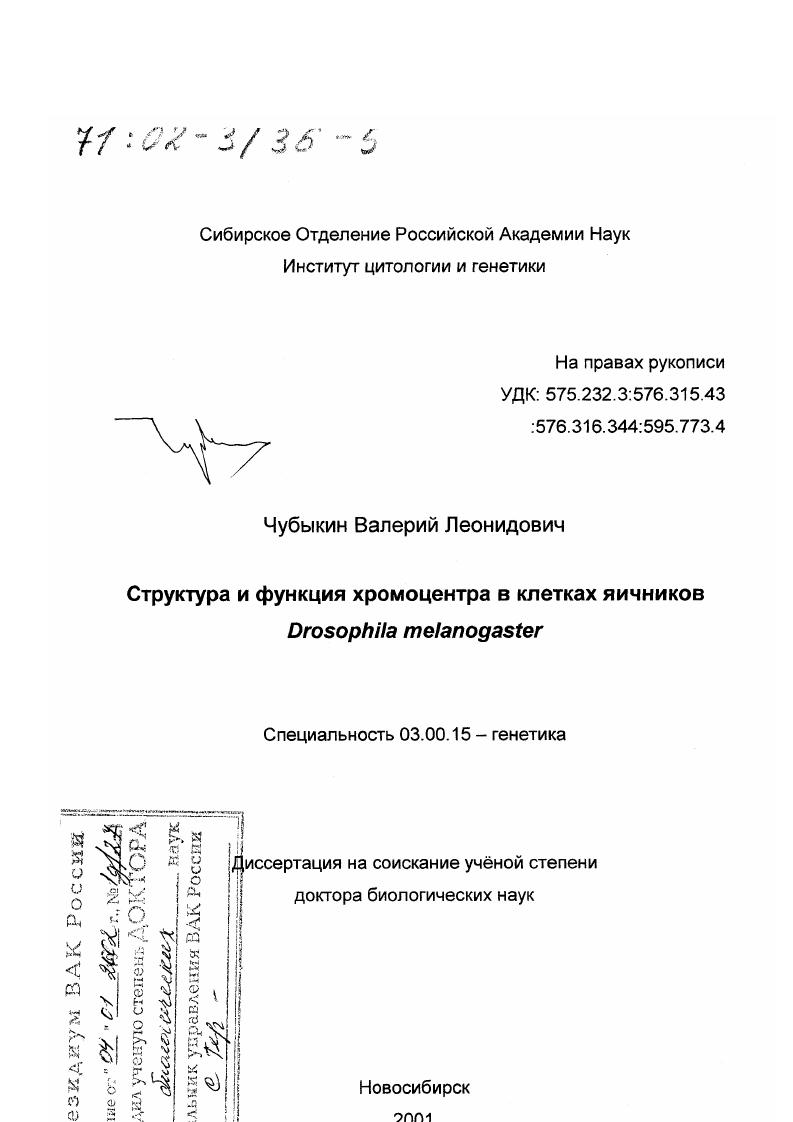 Структура и функция хромоцентра в клетках яичников Drosophila melanogaster