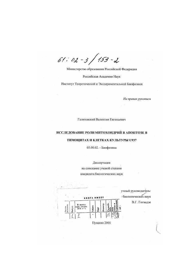 Исследование роли митохондрий в апоптозе в тимоцитах и клетках культуры U937