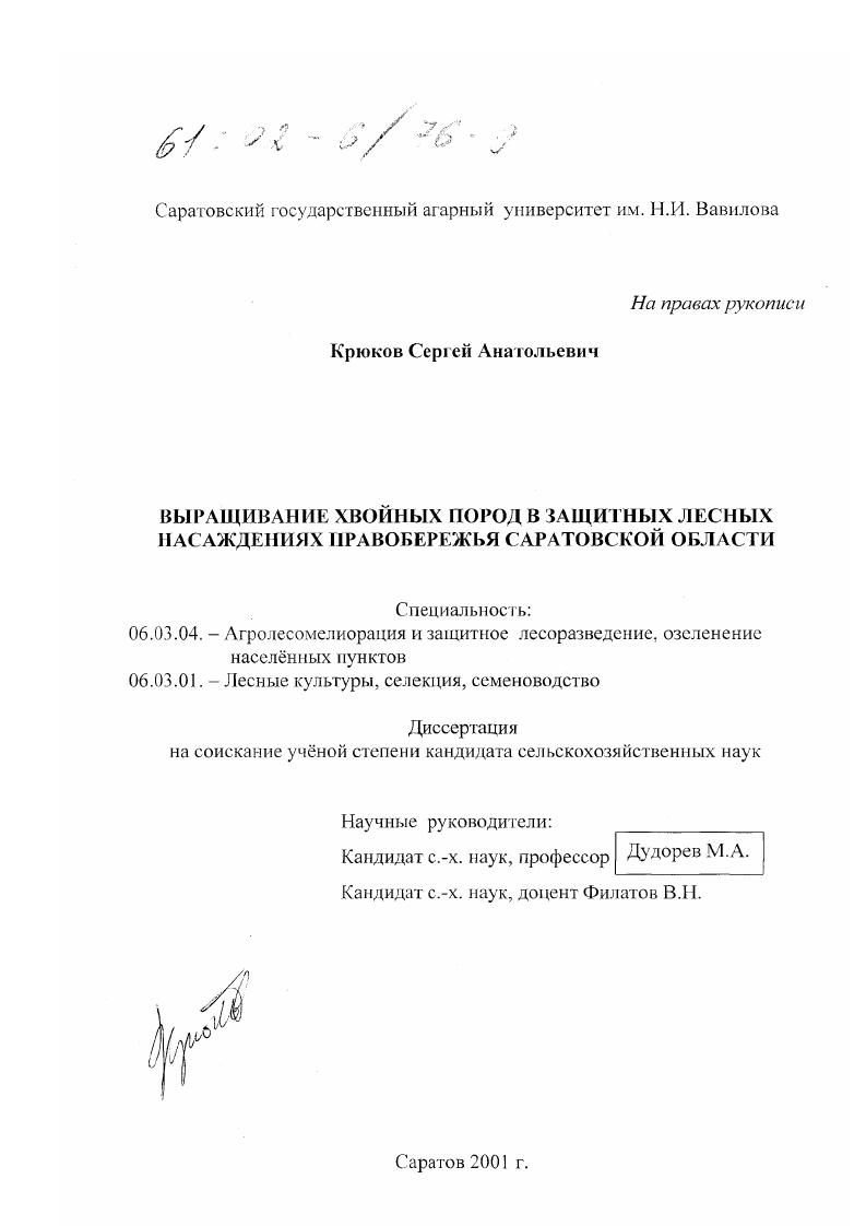 Выращивание хвойных пород в защитных лесных насаждениях Правобережья Саратовской области