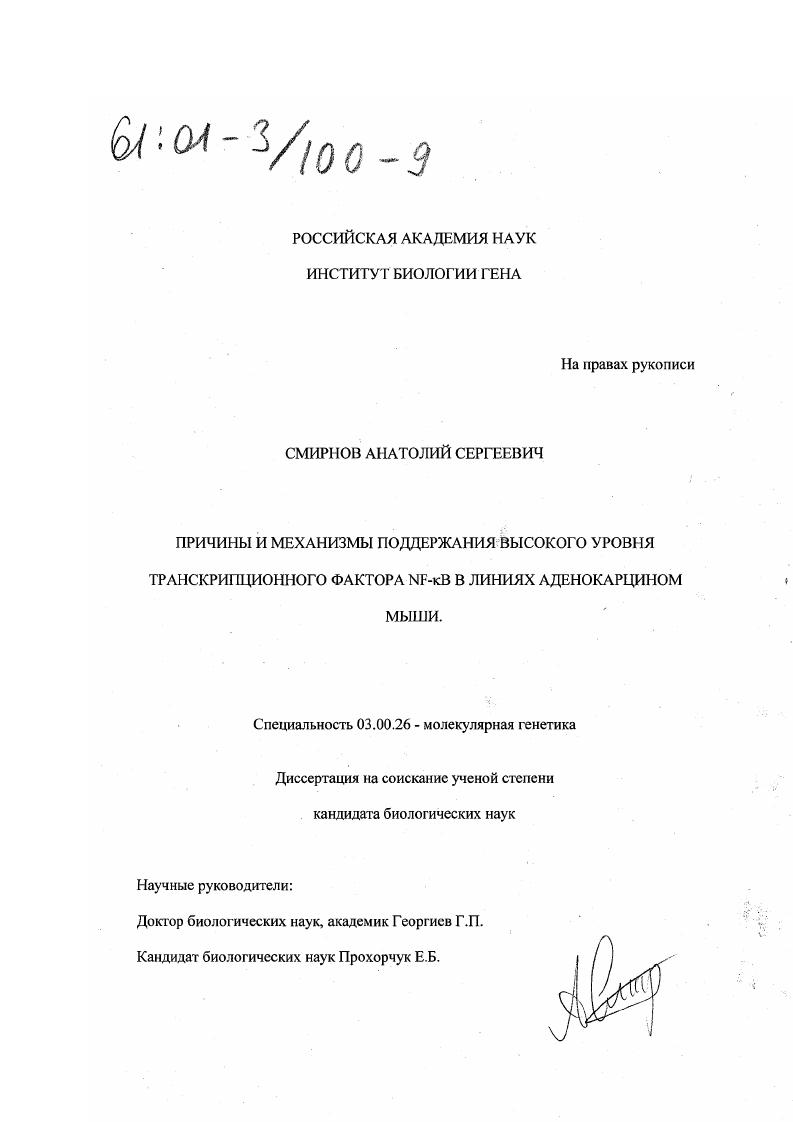 скачать диссертацию Причины и механизмы поддержания высокого уровня транскрипционного фактора NF-kB в линиях аденокарцином мыши Причины и механизмы поддержания высокого уровня транскрипционного фактора NF-kB в линиях аденокарцином мыши