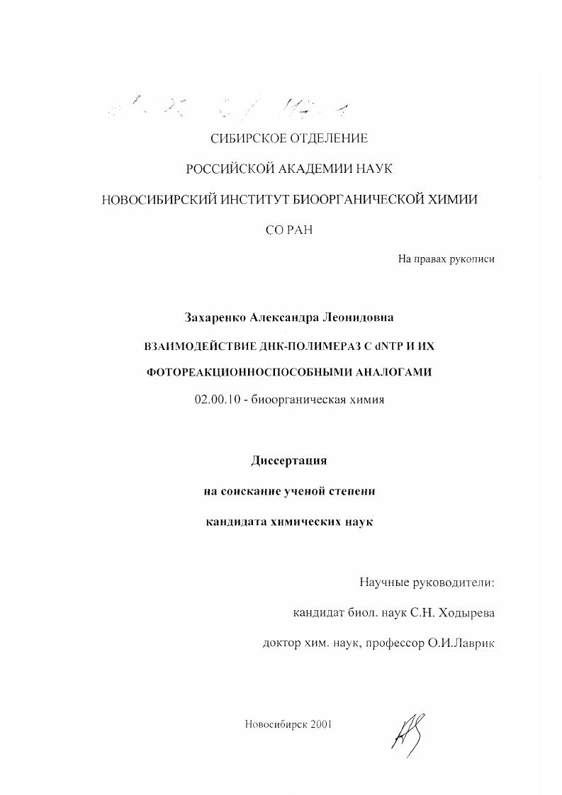 Взаимодействие ДНК-полимераз с dNTP и их фотореакционноспособными аналогами