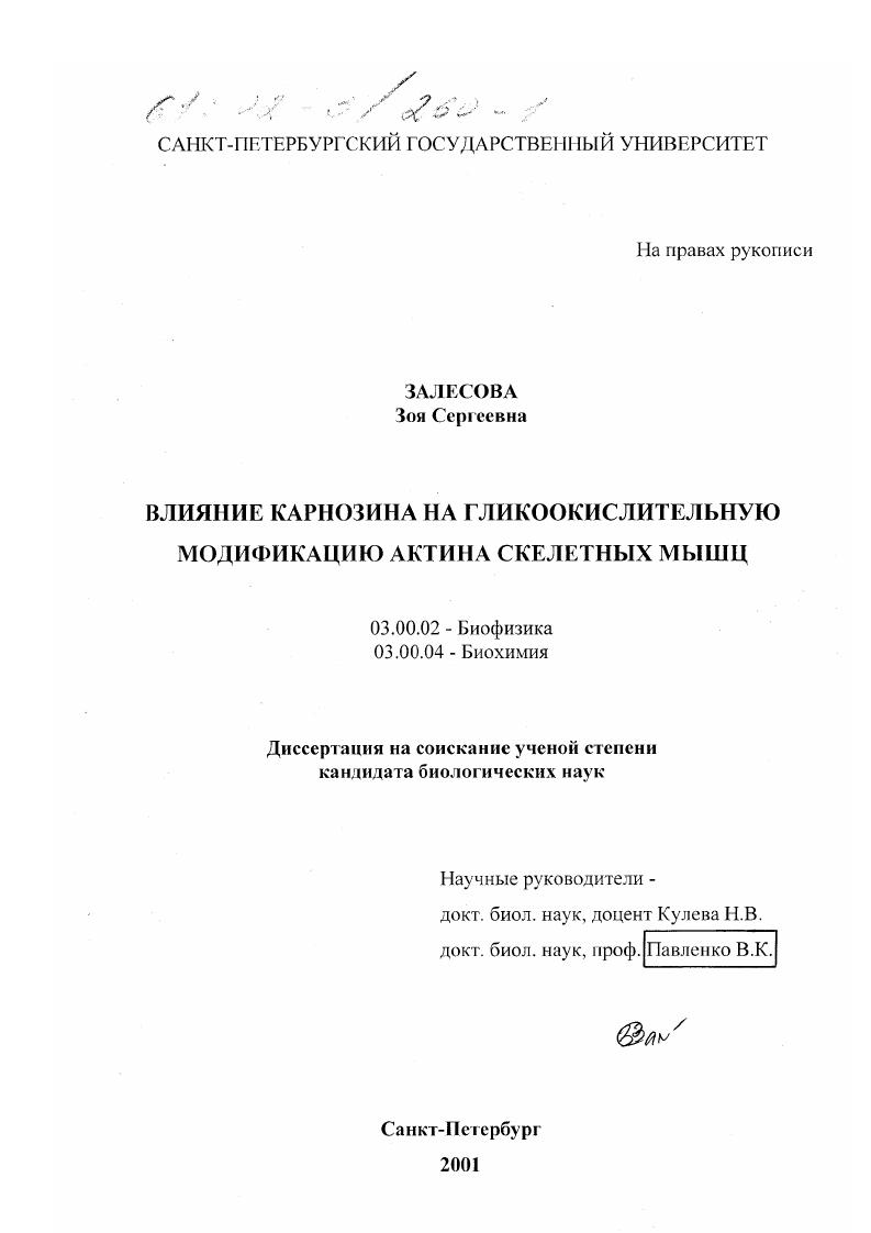 скачать диссертацию Влияние карнозина на гликоокислительную модификацию актина скелетных мышц Влияние карнозина на гликоокислительную модификацию актина скелетных мышц