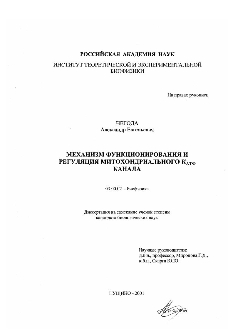 Механизм функционирования и регуляция митохондриального К атф канала