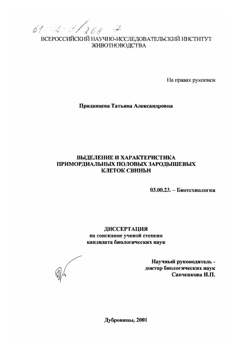 Выделение и характеристика примордиальных половых зародышевых клеток свиньи