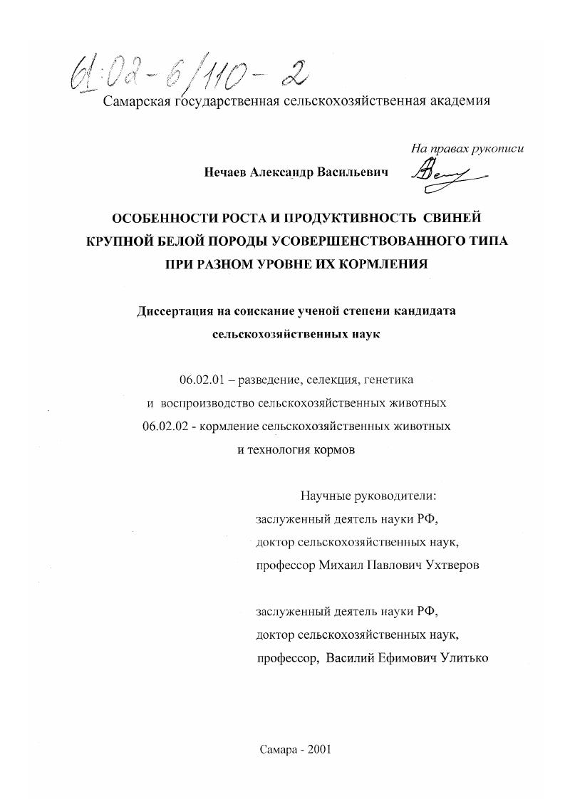 Особенности роста и продуктивность свиней крупной белой породы усовершенствованного типа при разном уровне их кормления