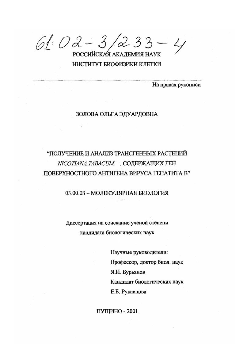 Получение и анализ трансгенных растений Nicotiana tabacum, содержащих ген поверхностного антигена вируса гепатита В