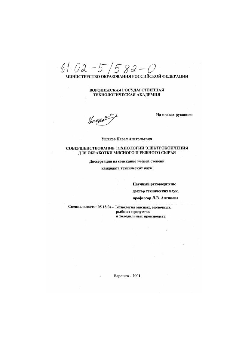Совершенствование технологии электрокопчения для обработки мясного и рыбного сырья