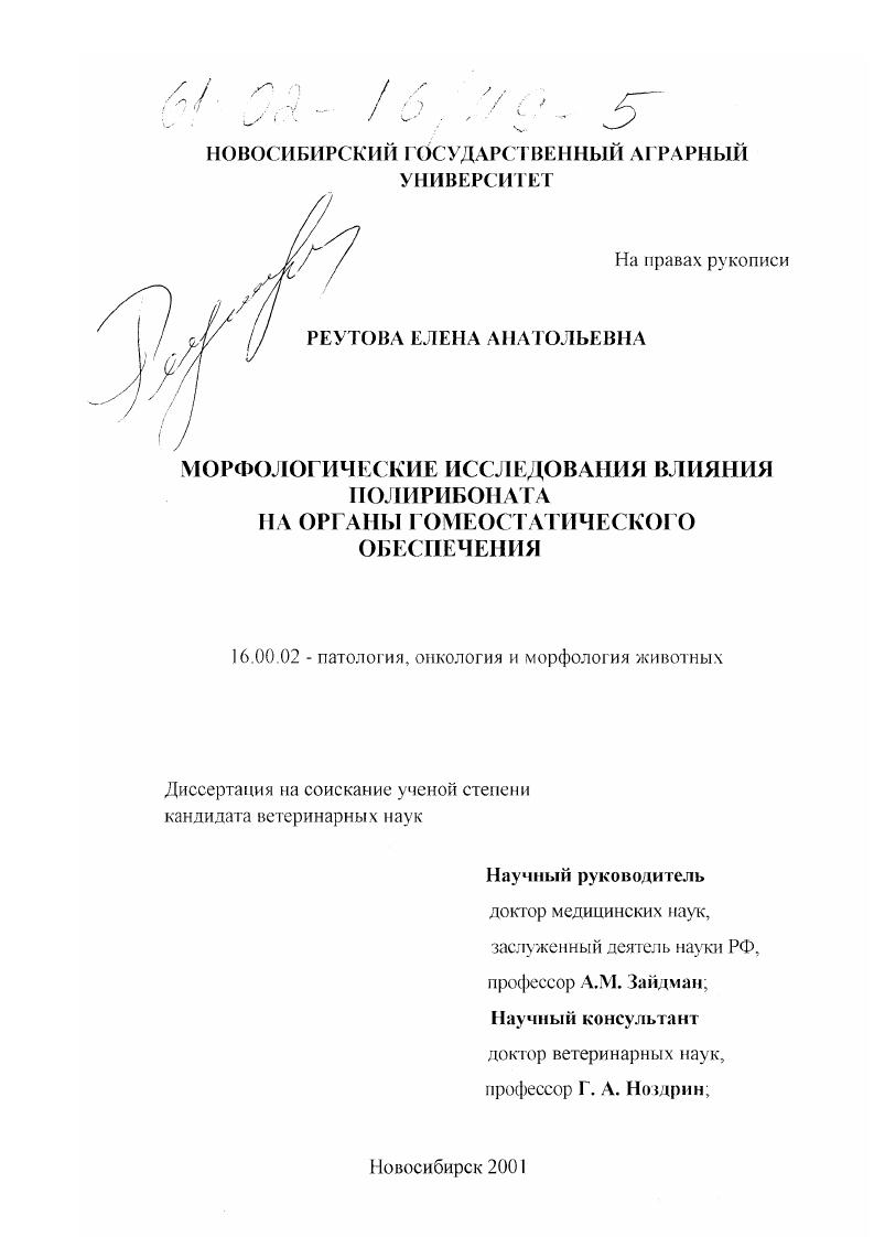 Морфологические исследования влияния полирибоната на органы гомеостатического обеспечения