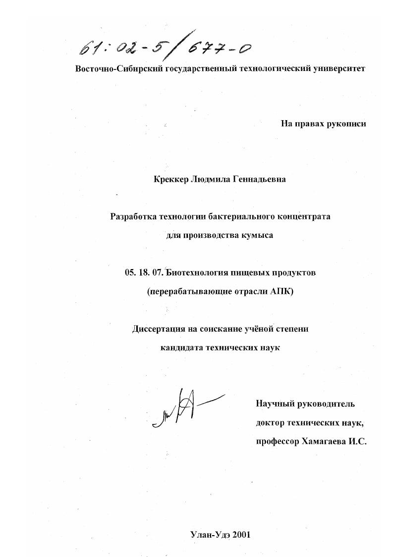 Разработка технологии бактериального концентрата для производства кумыса