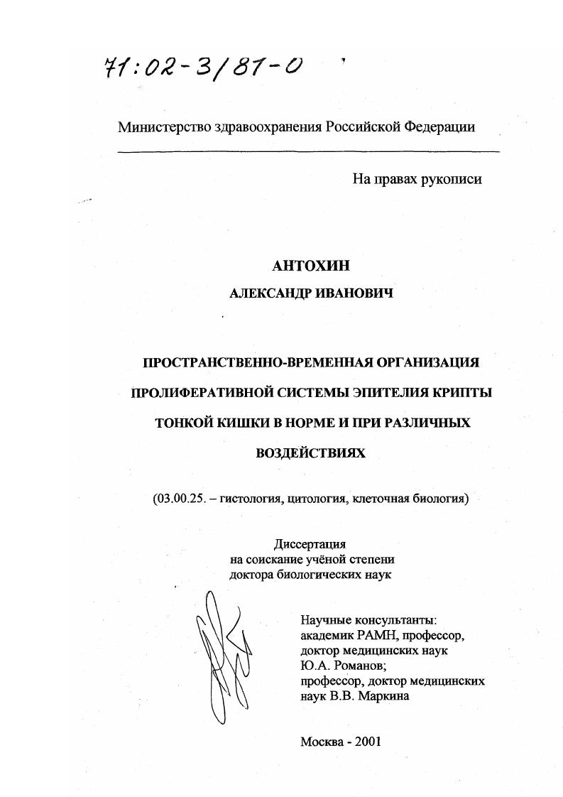 Пространственно-временная организация пролиферативной системы эпителия крипты тонкой кишки в норме и при различных воздействиях