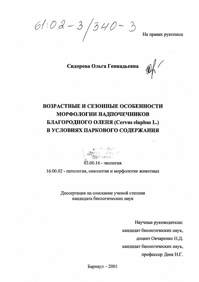 Возрастные и сезонные особенности морфологии надпочечников благородного оленя (Cervus elaphus L. ) в условиях паркового содержания