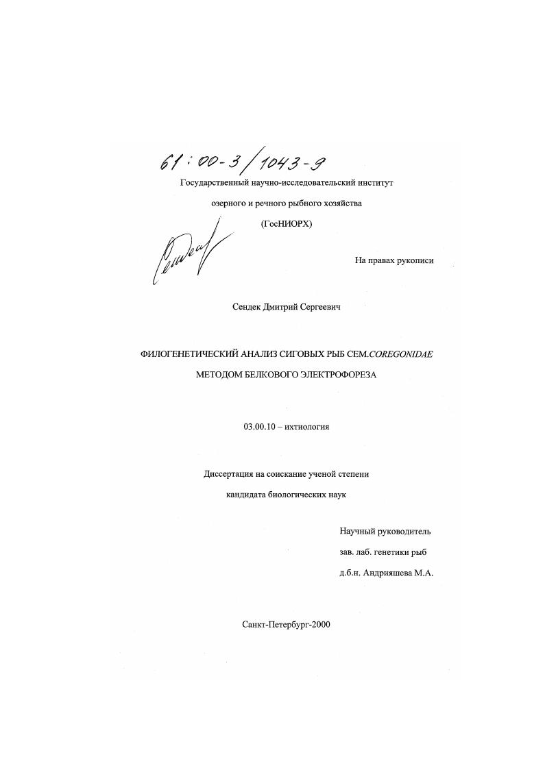 Филогенетический анализ сиговых рыб сем. coregonidae методом белкового электрофореза