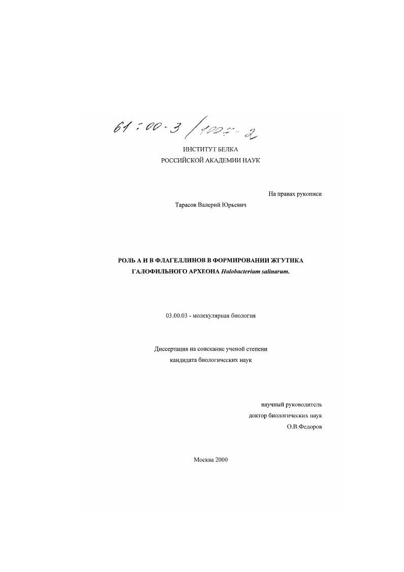 скачать диссертацию Роль А и В флагеллинов в формировании жгутика галофильного археона Halobacterium salinarum Роль А и В флагеллинов в формировании жгутика галофильного археона Halobacterium salinarum