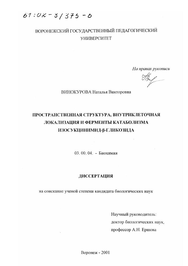 Пространственная структура, внутриклеточная локализация и ферменты катаболизма изосукцинимид- β-гликозида