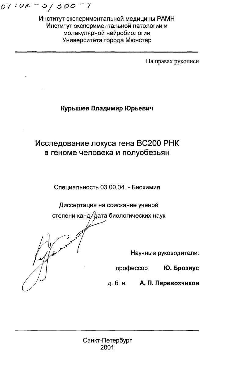 скачать диссертацию Исследование локуса гена ВС200 РНК в геноме человека и полуобезьян Исследование локуса гена ВС200 РНК в геноме человека и полуобезьян