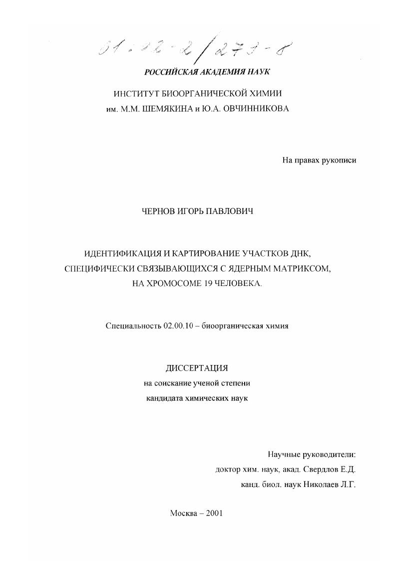 Идентификация и картирование участков ДНК, специфически связывающихся с ядерным матриксом, на хромосоме 19 человека