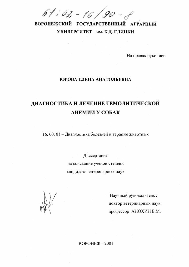 Диагностика и лечение гемолитической анемии у собак