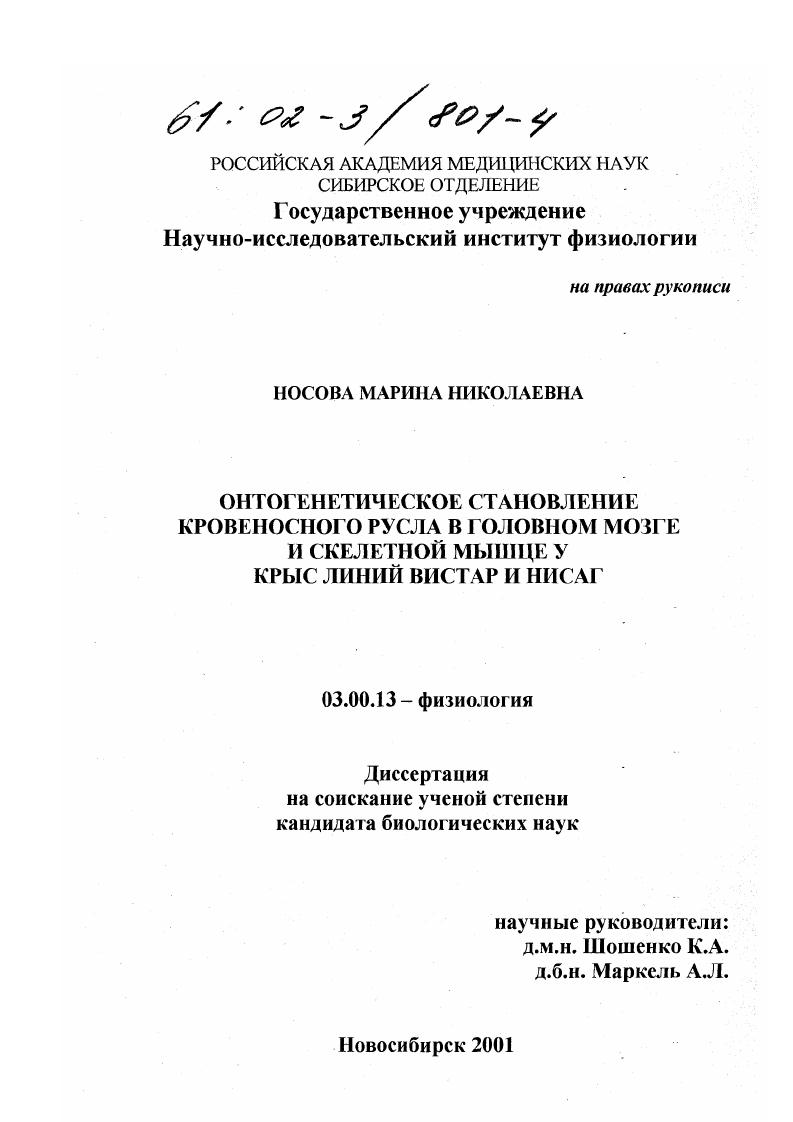 Онтогенетическое становление кровеносного русла в головном мозге и скелетных мышцах у крыс линий Вистар и НИСАГ