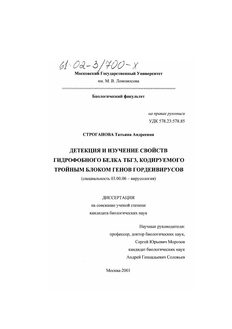 Детекция и изучение свойств гидрофобного белка ТБГЗ, кодируемого тройным блоком генов гордеивирусов