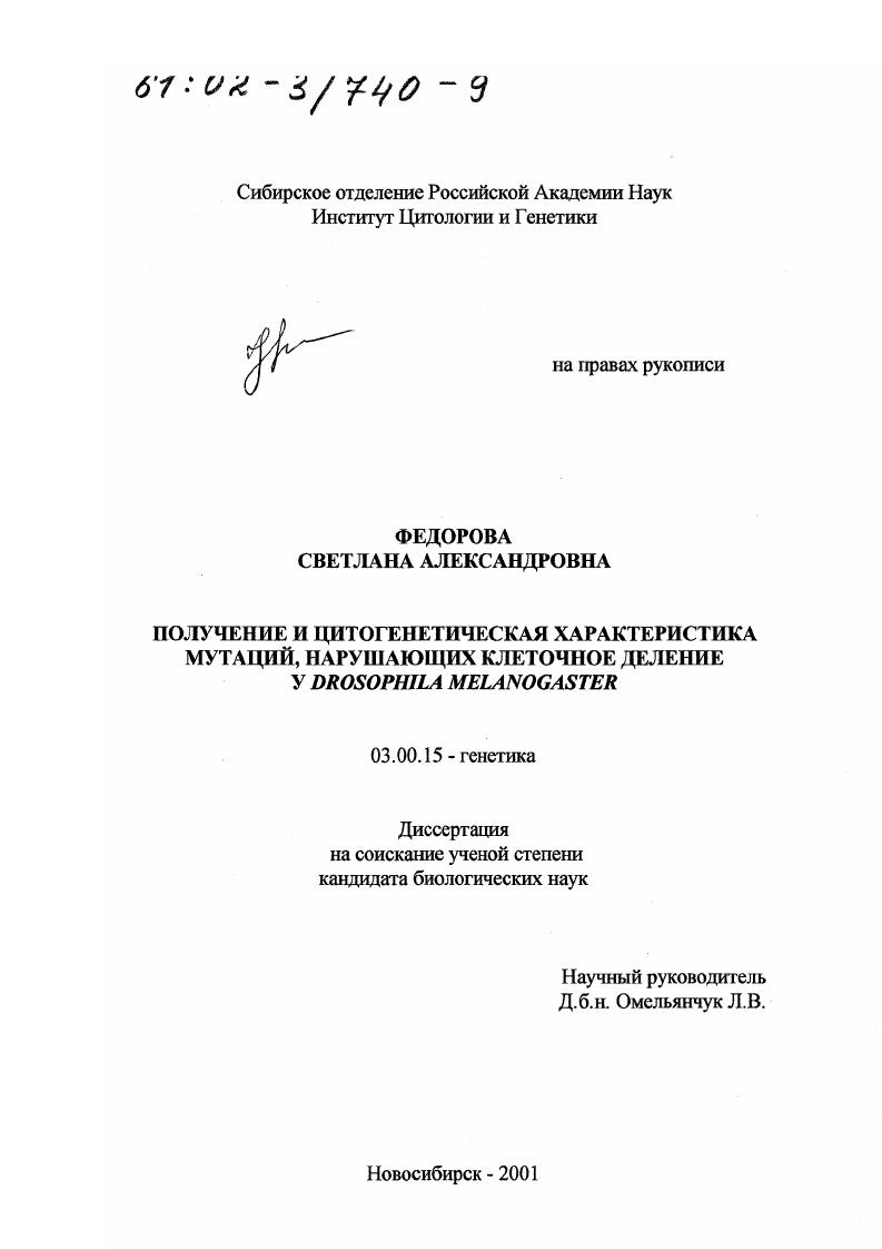 Получение и цитогенетическая характеристика мутаций, нарушающих клеточное деление у Drosophila melanogaster